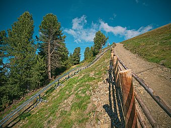 ROLLBOB®-Track Plose/Italy