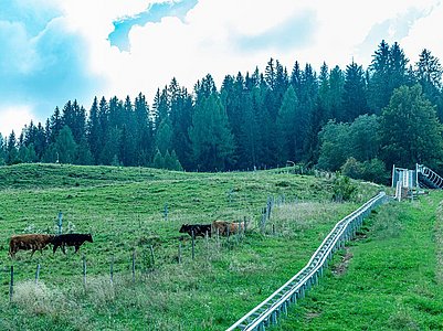 ROLLBOB® Bad Kleinkirchheim/Austria
